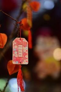 game không giới hạn 8Day